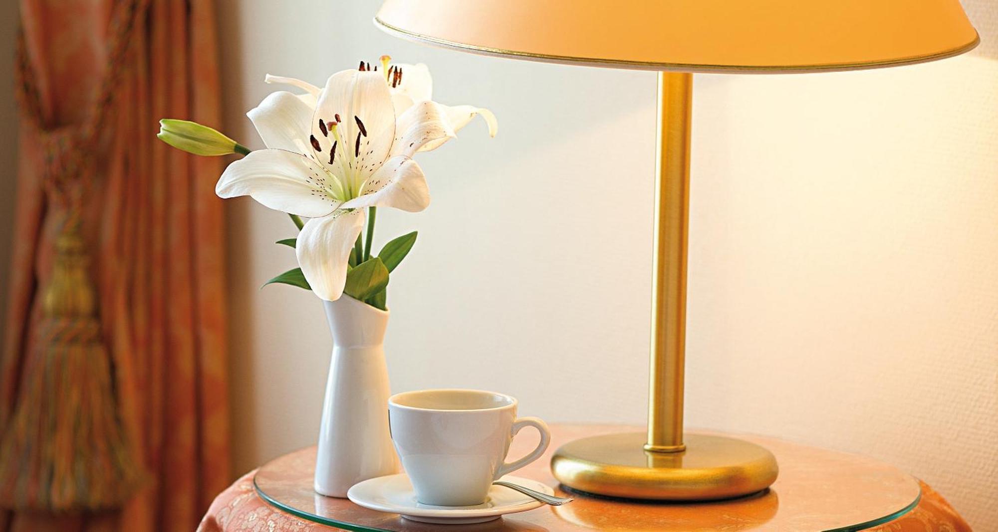 Victor'S Residenz-Hotel Erfurt Phòng bức ảnh